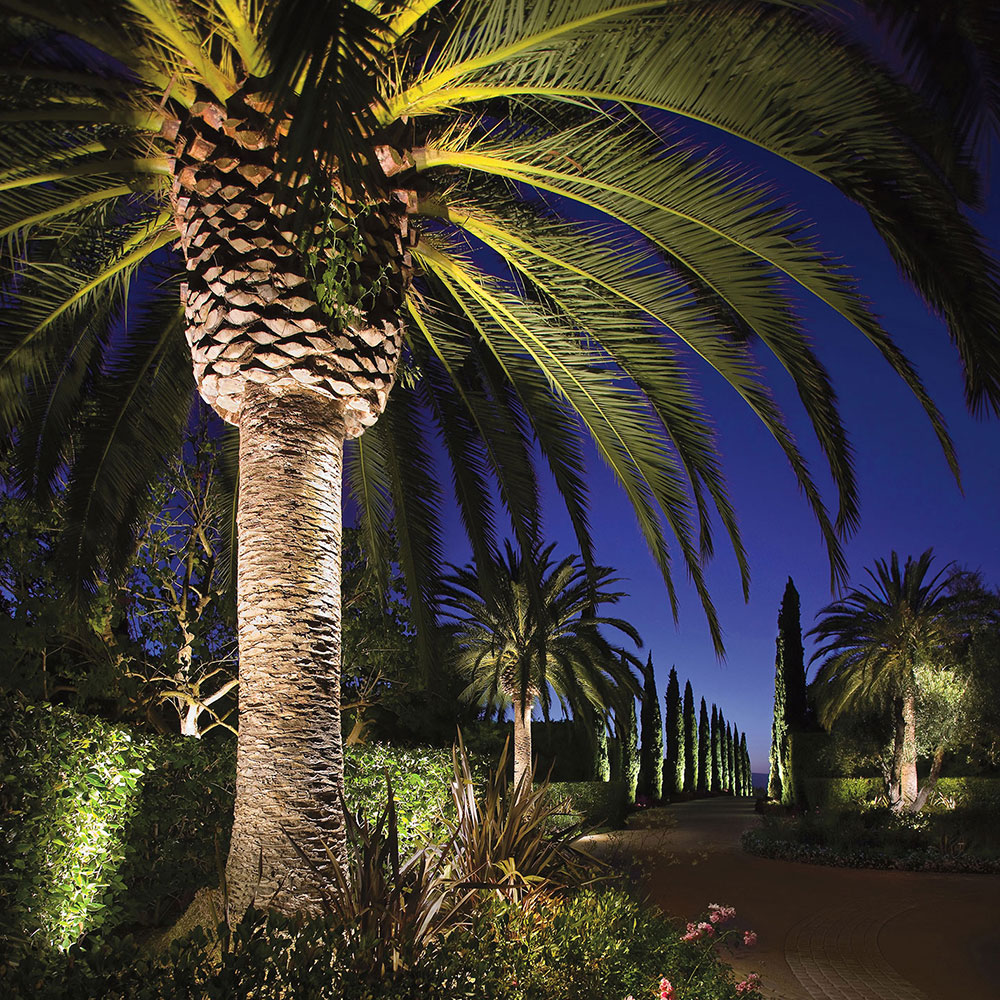 Kichler Landscape Palm Path