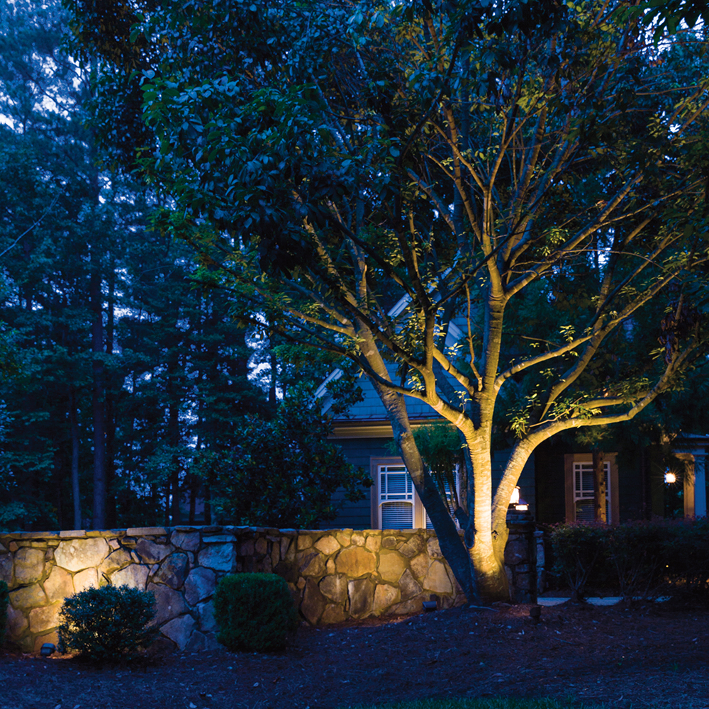 Kichler Landscape Tree and Wall